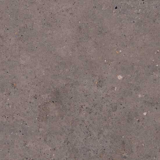 Dlažba Pastorelli Biophilic dark grey 60x60 cm protisklz P009505