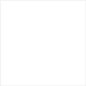 Obklad Fineza Happy biela 20x20 cm lesk HAPPY20WH